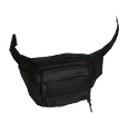 Fannypack