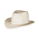Fedora